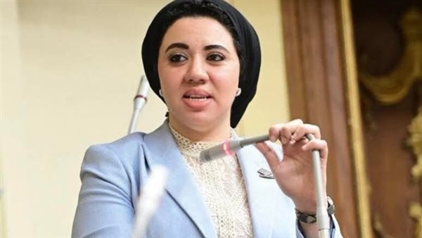 النائبة أميرة صابر،