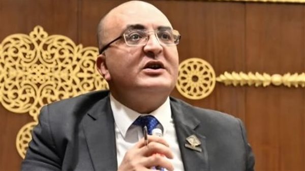 النائب عمروعزت، عضو