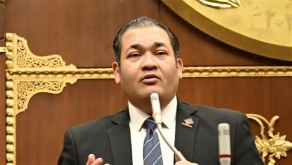 النائب محمد عمارة،