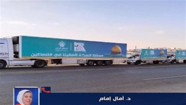 مساعدات إغاثية