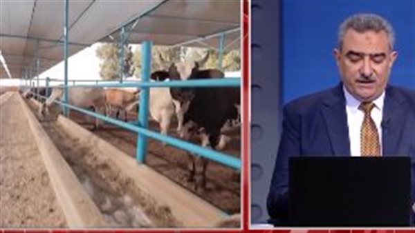 تربية البتلو