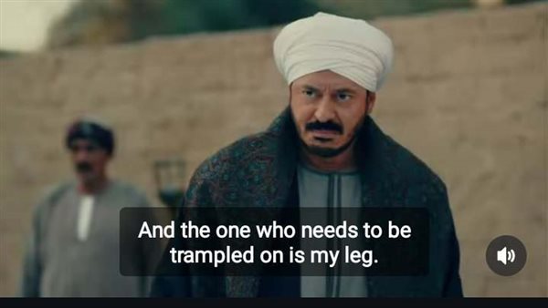 مسلسل حكيم باشا 