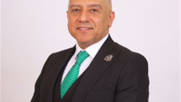 حسام الدين علي، نائب