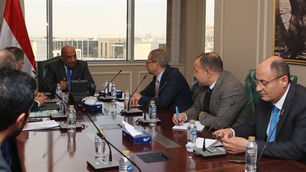 وزير الكهرباء 