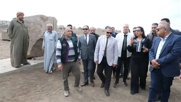 محافظ الشرقية