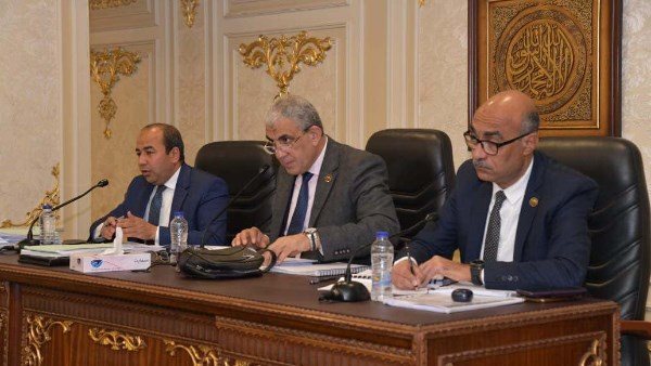 القوي العاملة بالنواب