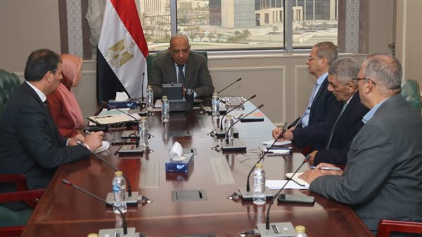 وزير الكهرباء 