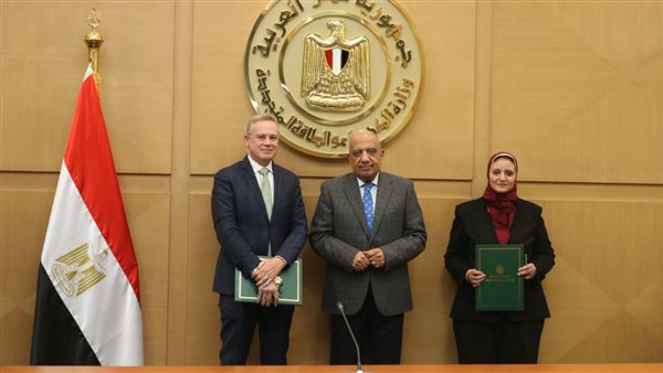 وزير الكهرباء 