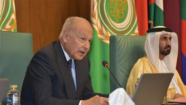 أحمد أبو الغيط 