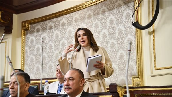 النائبة فاطمة سليم