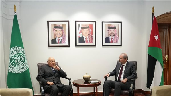 أحمد أبو الغيط -