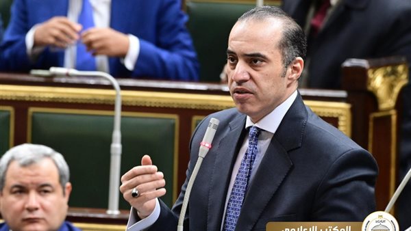 المستشار محمود فوزي