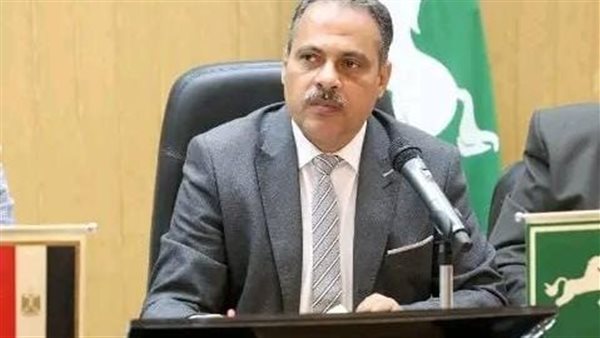 محافظ الشرقية 