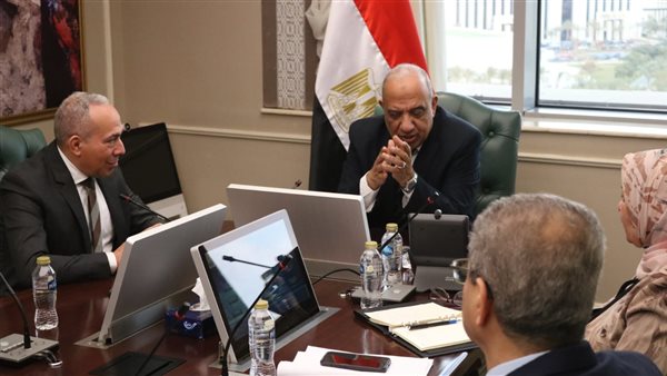 وزير الكهرباء 