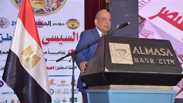 وزير الكهرباء 