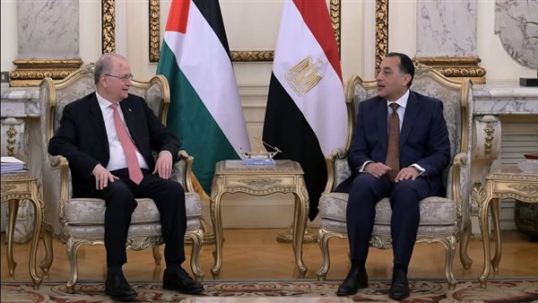 رئيس الوزراء مصطفى