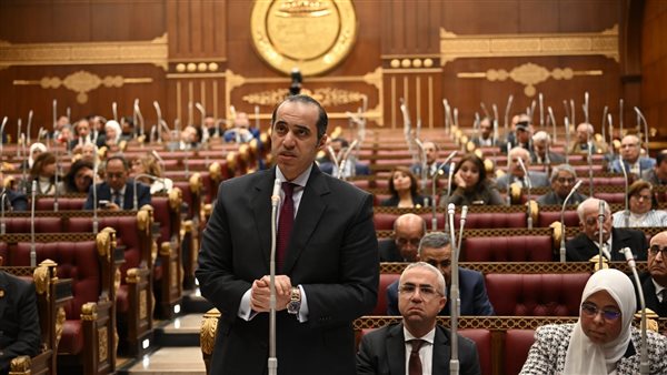 المستشار محمود فوزي