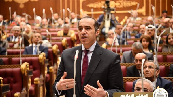  المستشار محمود فوزي