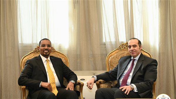 المستشار محمود فوزي