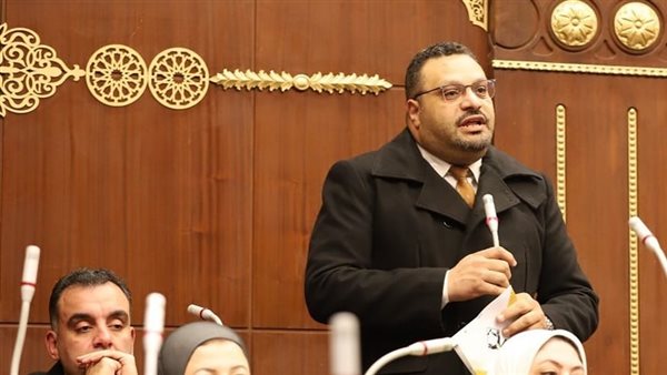 النائب أحمد القناوي،