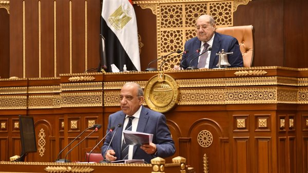 وزير الكهرباء 