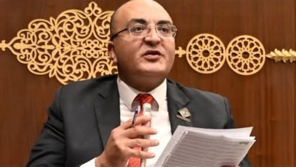 النائب عمرو عزت،