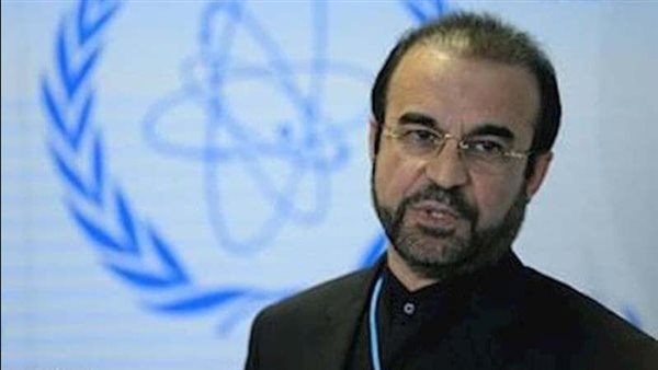 رضا نجفي السفير الإيراني