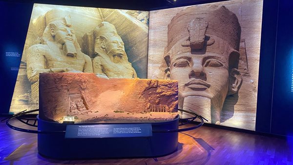 جانب من المعرض