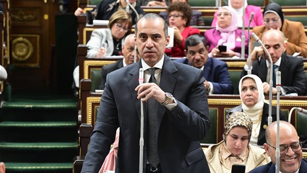 المستشار محمود فوزي