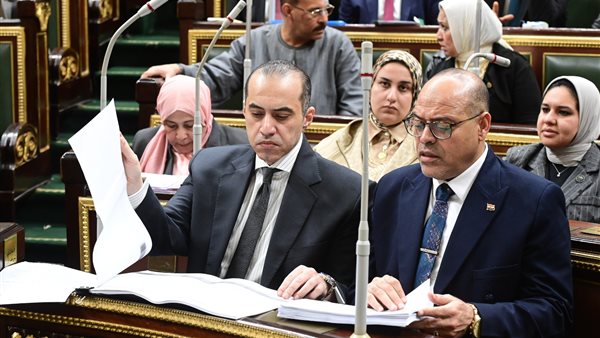  المستشار محمود فوزي