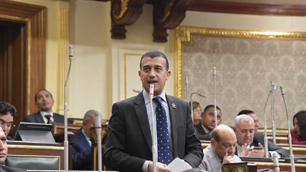 النائب طارق الخولي