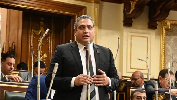  النائب عماد خليل