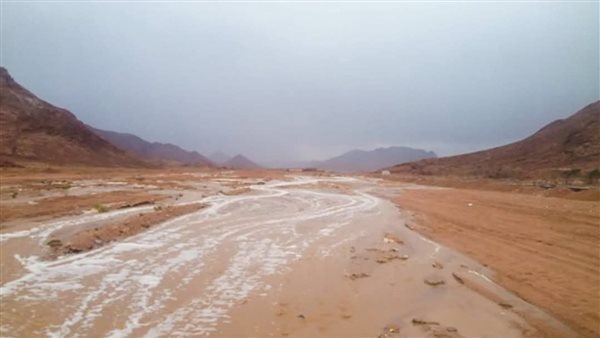 الدكتور هاني سويلم