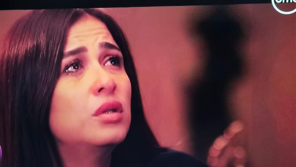 مسلسل وتقابل حبيب