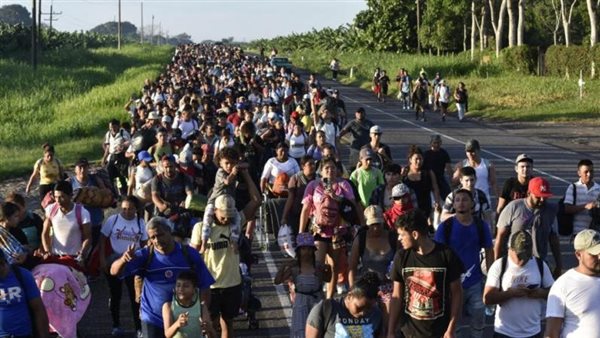 تطبيق جديد للمهاجرين