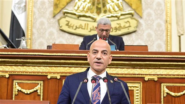 النائب أسامة فتحي،