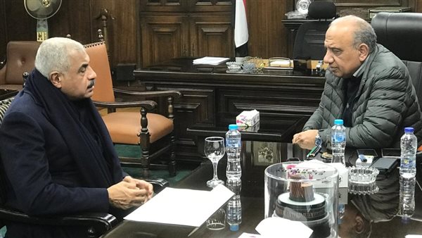 وزير الكهرباء 