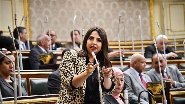 النائبة نشوي الشريف،