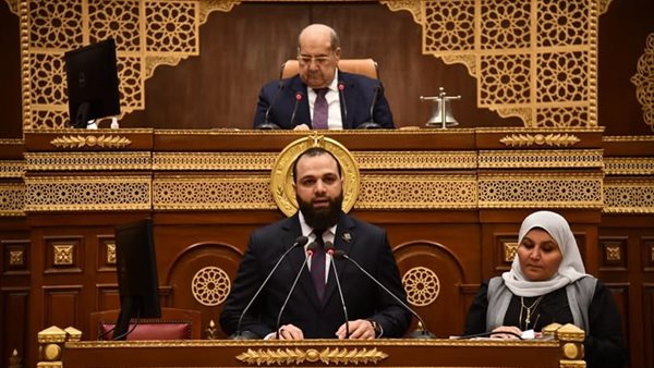  النائب محمود تركي