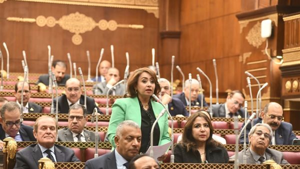  النائبة رشا إسحاق