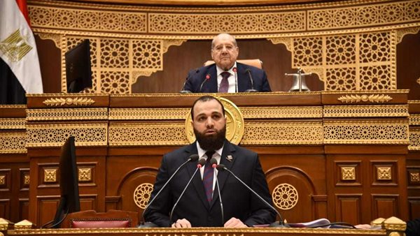 النائب محمود تركي