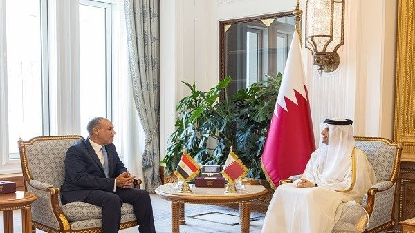 وزير خارجية مصر ونظيره