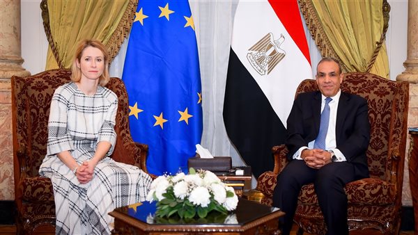 بدر عبد العاطي -