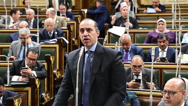 المستشار محمود فوزي،