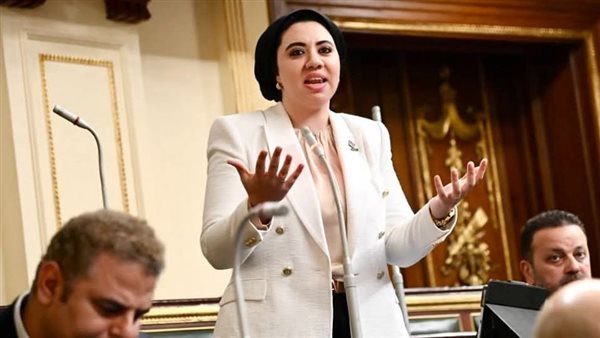 النائبة أميرة صابر،