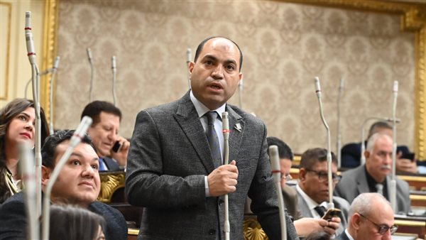 النائب عمرو درويش،