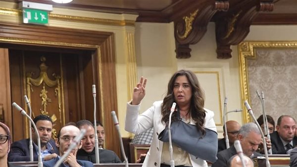 النائبة أميرة العادلي