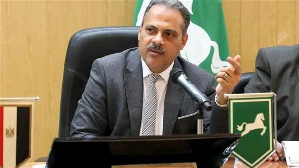 محافظ الشرقية 