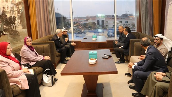 وزير الكهرباء 