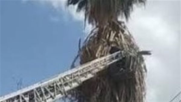 لحظة انقاذ عامل